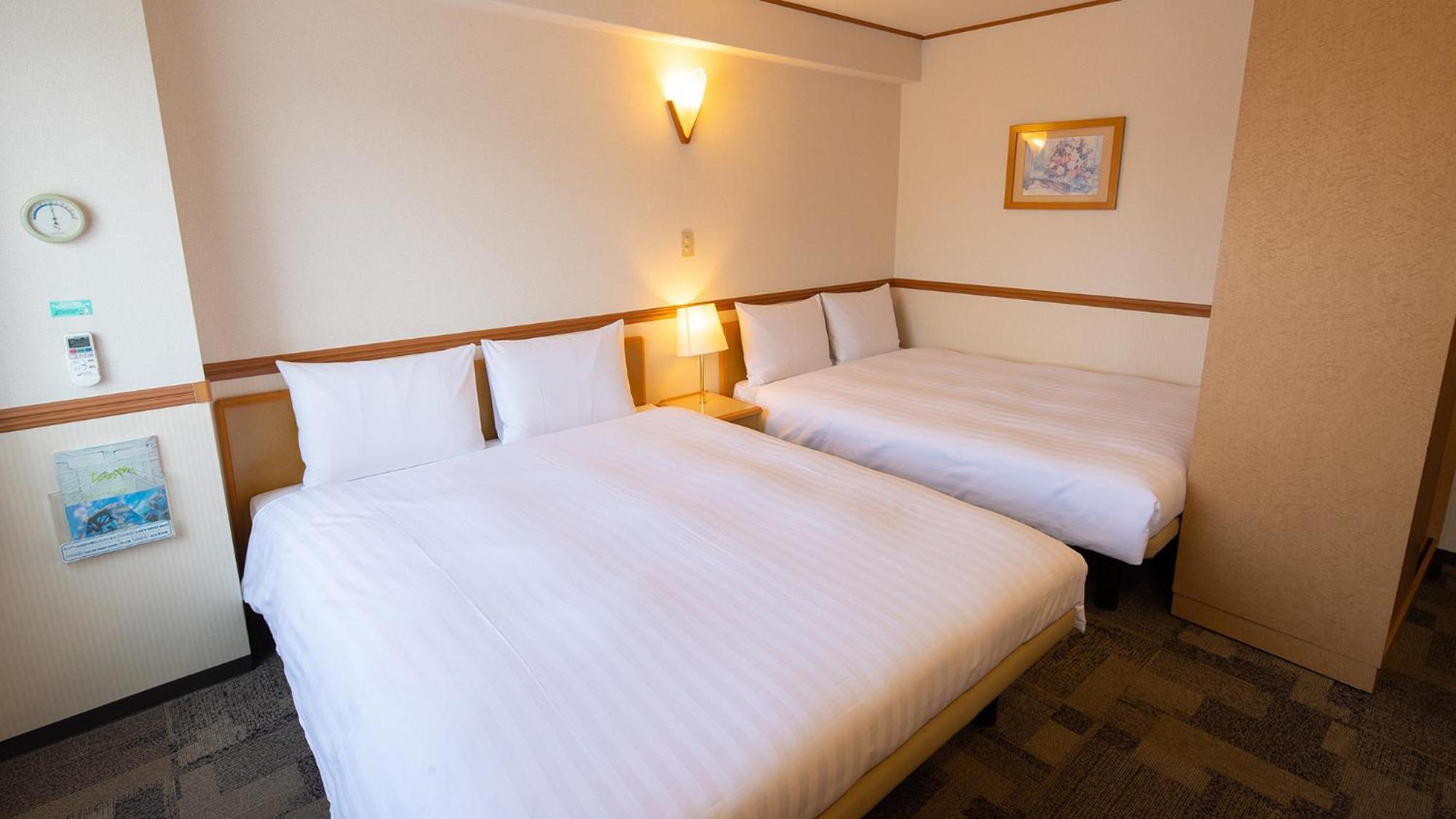 Toyoko Inn Kagoshima Chuo Eki Nishi Guchi Номер фото